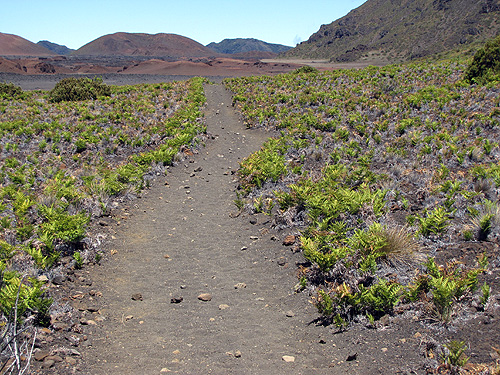 The cinder flats, after the initial steep descent from the crater rim.