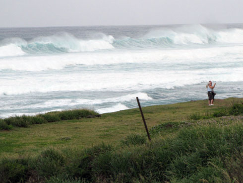 Maui, north shore surf, January 22, 2014