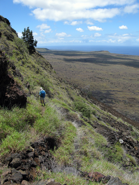 This is an upper section of the Hilina Pali Trail. The trail varies a lot. Some stretches are nicely paved with carefully set lava stone, other parts are dirt and many of these are overhung with grass and weeds, making it difficult to see where you're stepping. Still other parts are `a`a clinker, which can easily roll out from under your feet. I fell down only once -- that felt like an accomplishment! -- but I skidded many times.