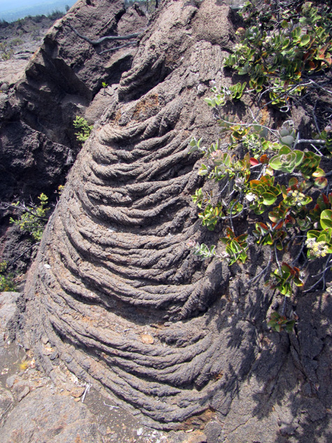 An example of the ropy texture of some pahoehoe lava.