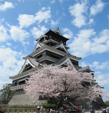 This is Kumamoto Castle in spring 2013. The building and outer walls suffered extensive damage during the quakes.